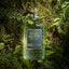 4711 Acqua Colonia Intense Wakening Woods of Scandinavia liegt auf Tannen und Moos