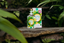 4711 Remix Green Oasis mit Flakon und Faltschachtel in tropischem Setting auf Bali